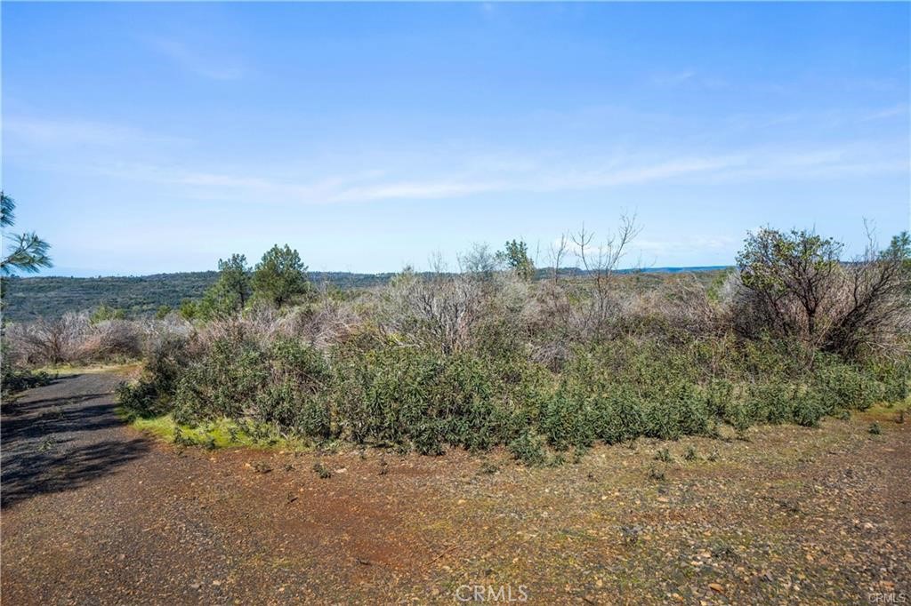 MLS #SN25099397 image #11