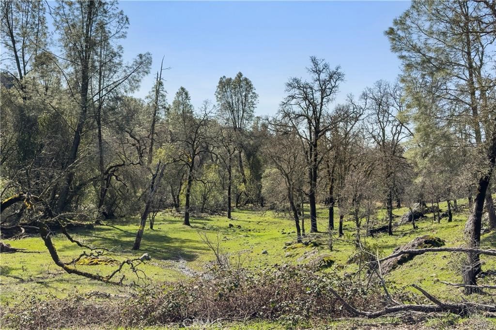 MLS #SN25099397 image #14