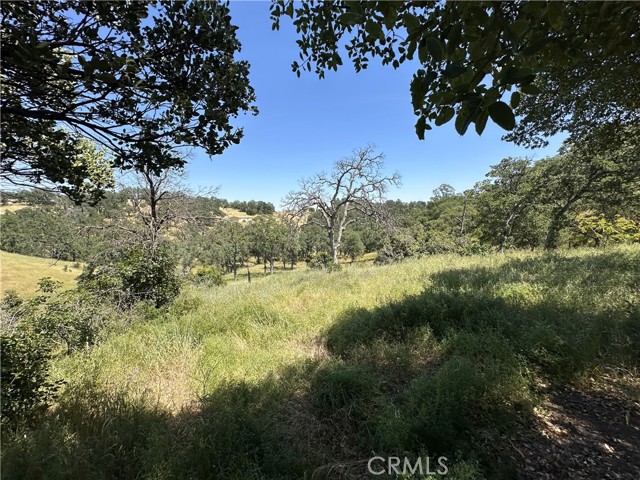 MLS #SN25104027 image #1