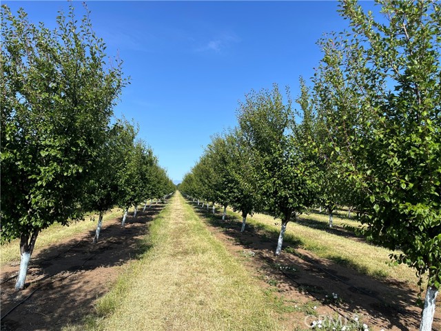 MLS #SN25106900 image #0