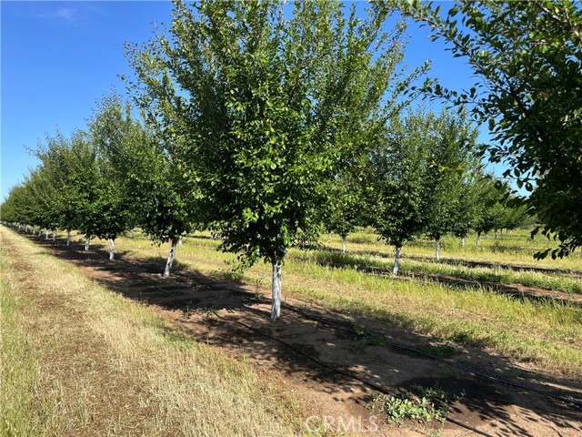 MLS #SN25106900 image #2