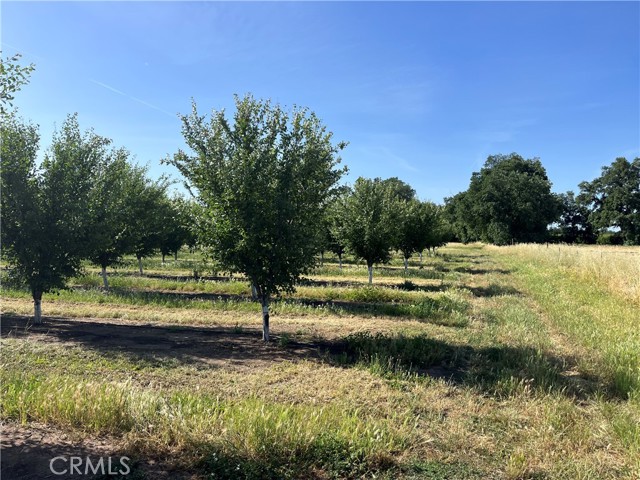 MLS #SN25106900 image #8