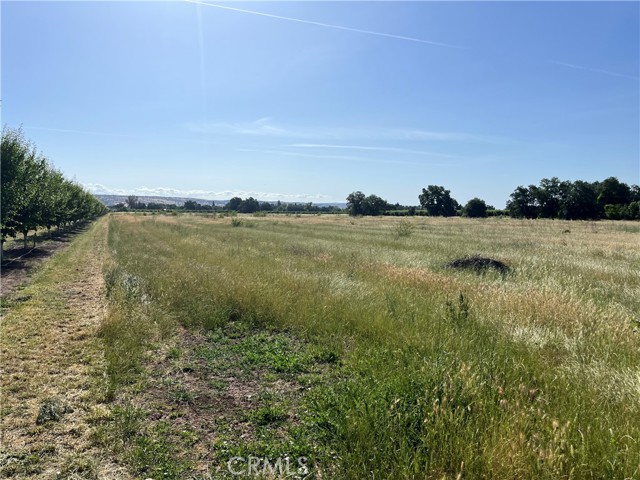 MLS #SN25106900 image #9