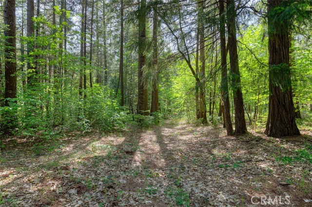 MLS #SN25111745 image #42