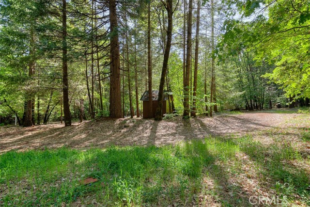 MLS #SN25111745 image #44