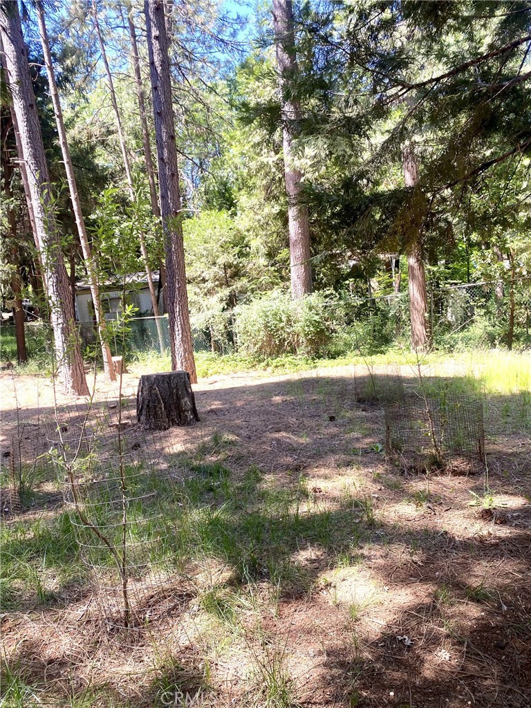 MLS #SN25114313 image #30