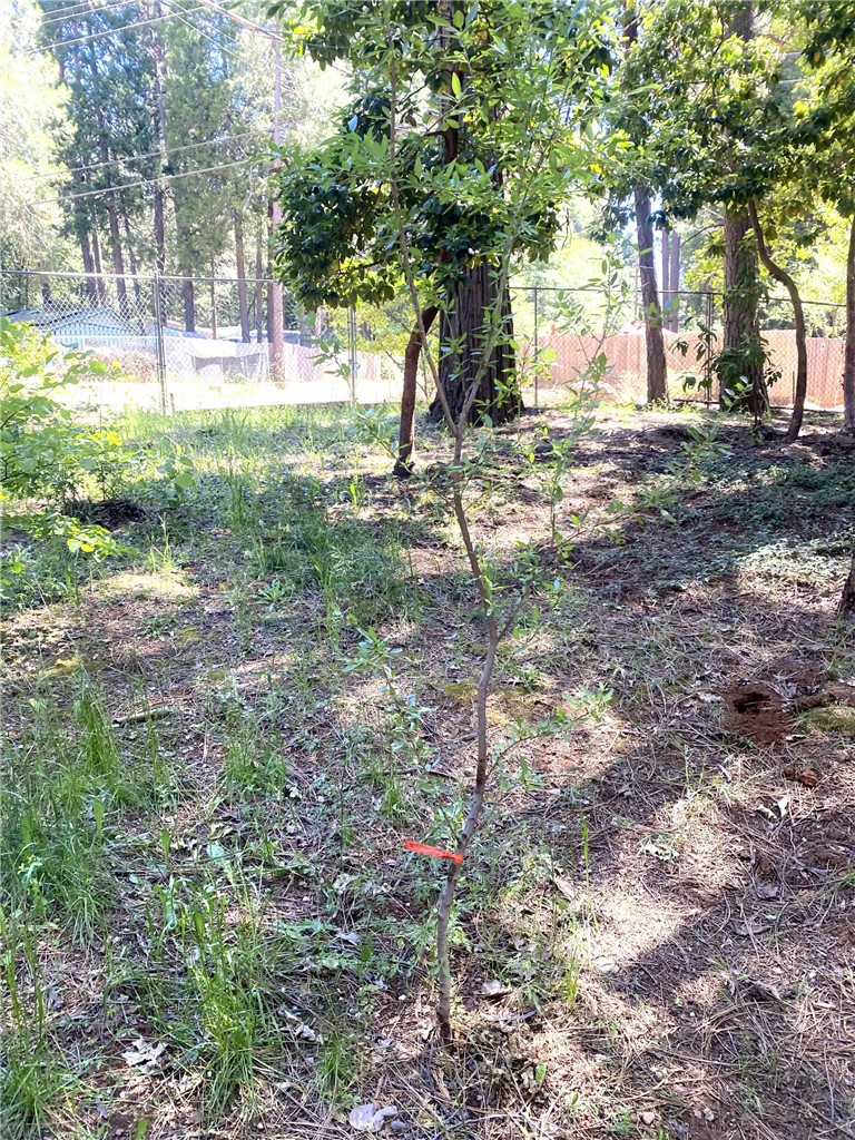 MLS #SN25114313 image #36