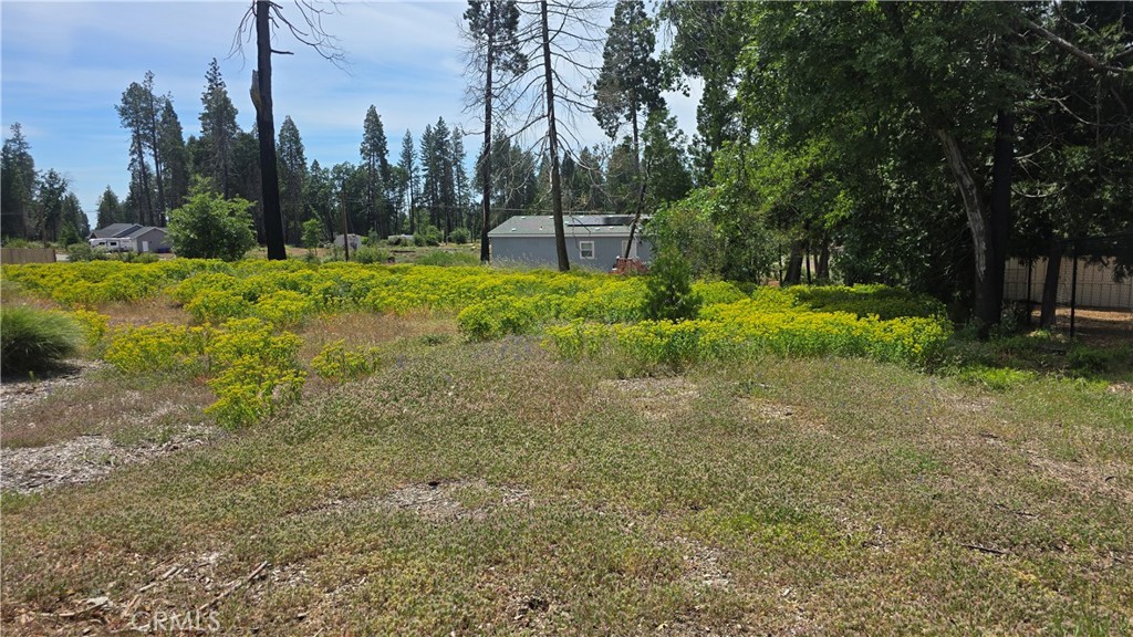 MLS #SN25116193 image #3