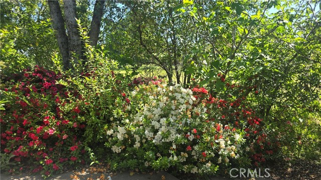 MLS #SN25116196 image #29