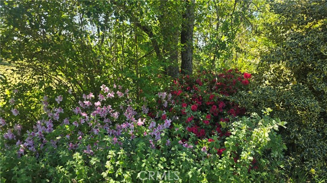 MLS #SN25116196 image #30