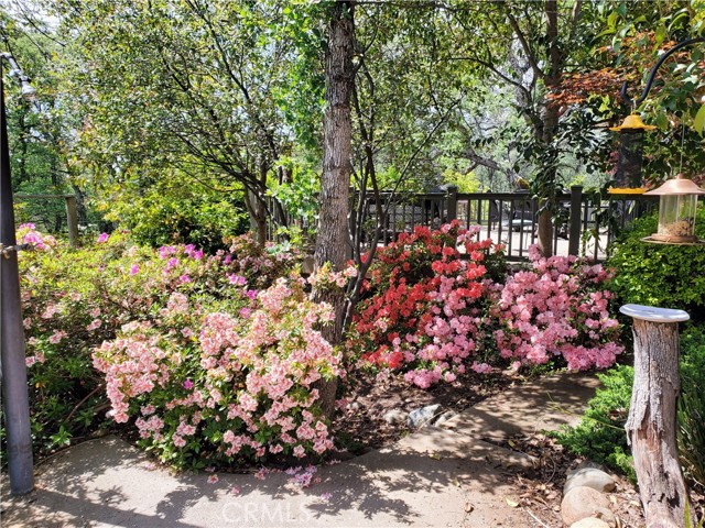 MLS #SN25116196 image #33