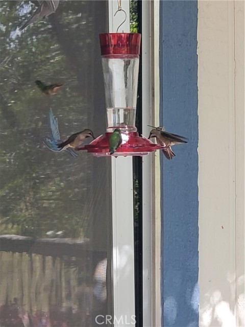 MLS #SN25116196 image #34