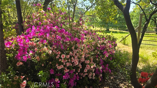 MLS #SN25116196 image #35