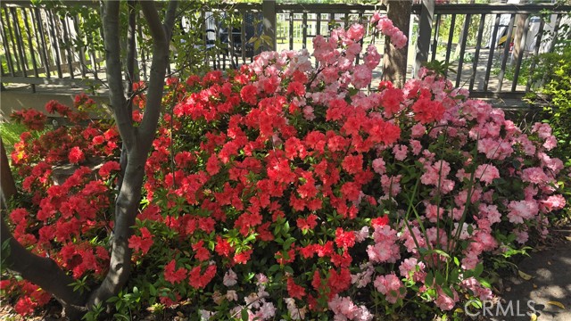 MLS #SN25116196 image #36