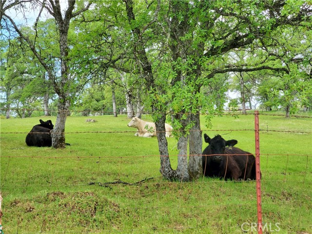 MLS #SN25116196 image #4