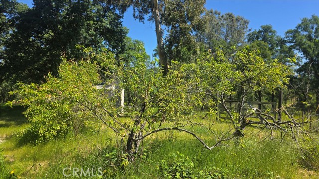 MLS #SN25116196 image #45