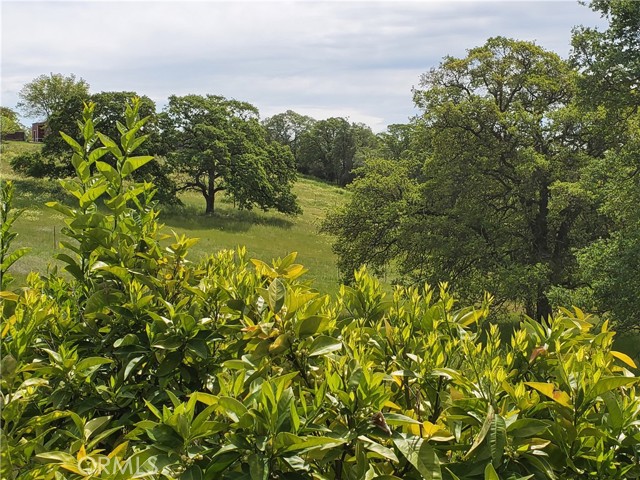 MLS #SN25116196 image #46