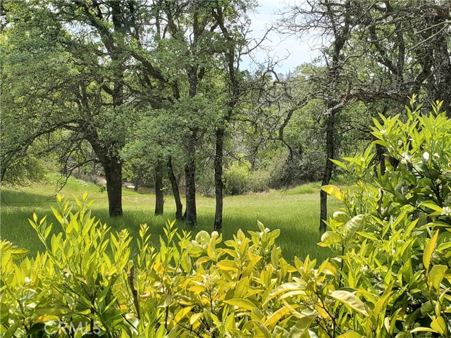 MLS #SN25116196 image #49