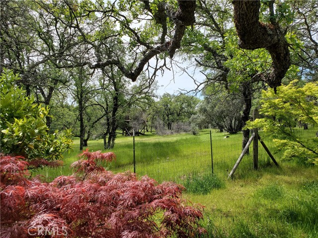 MLS #SN25116196 image #50