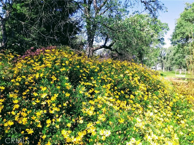 MLS #SN25116196 image #51