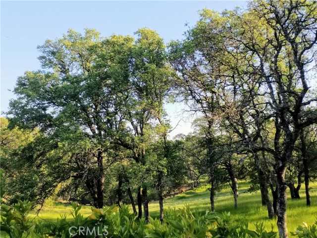 MLS #SN25116196 image #52