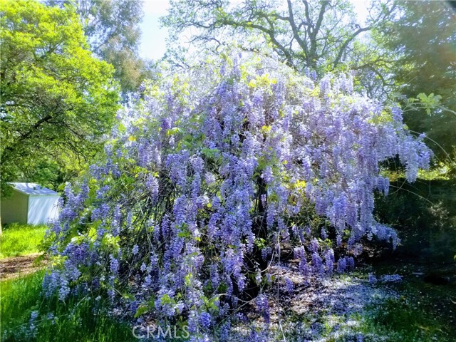 MLS #SN25116196 image #57