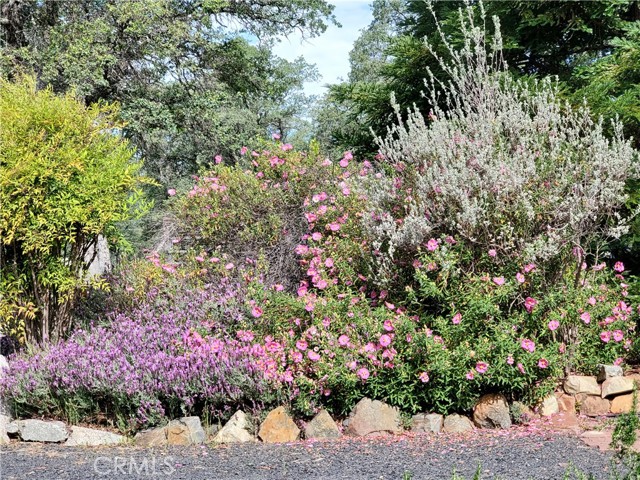 MLS #SN25116196 image #59