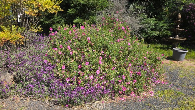 MLS #SN25116196 image #60