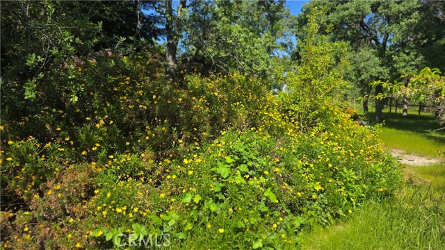 MLS #SN25116196 image #63