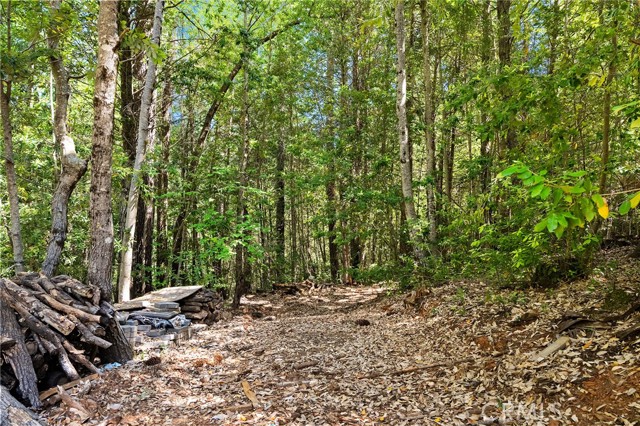 MLS #SN25117825 image #41