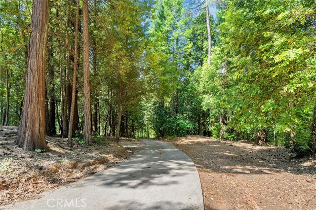 MLS #SN25117825 image #44