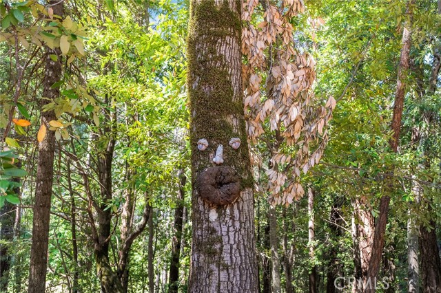 MLS #SN25117825 image #45