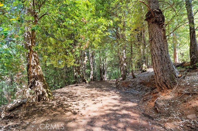 MLS #SN25117825 image #46