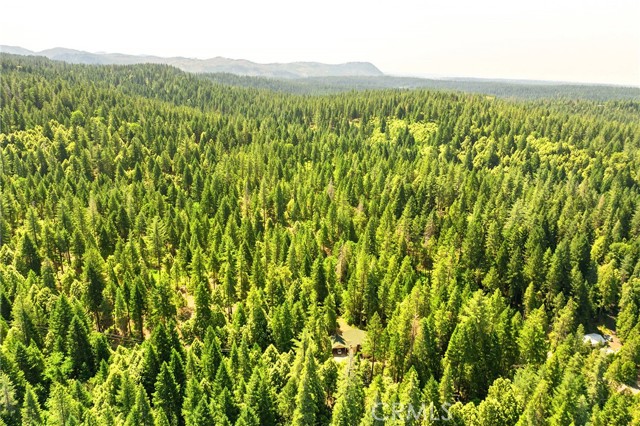 MLS #SN25117825 image #54