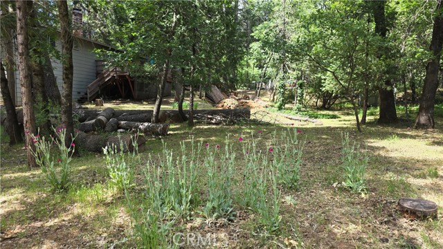 MLS #SN25124733 image #28