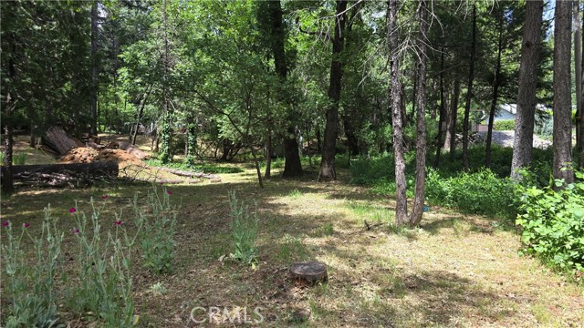 MLS #SN25124733 image #29