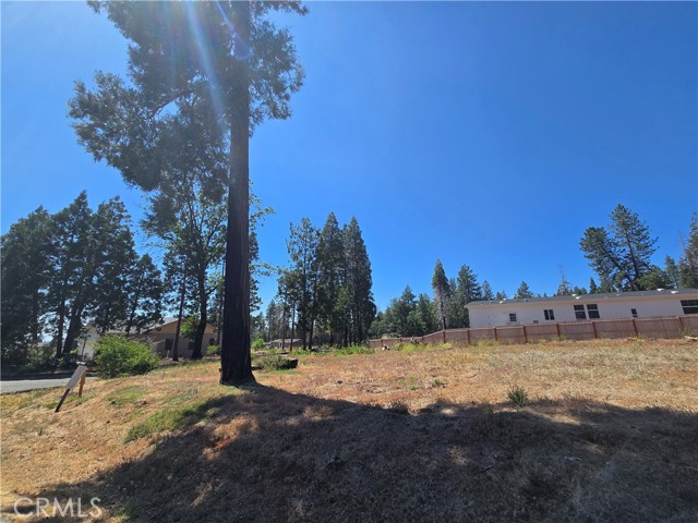 MLS #SN25127371 image #6