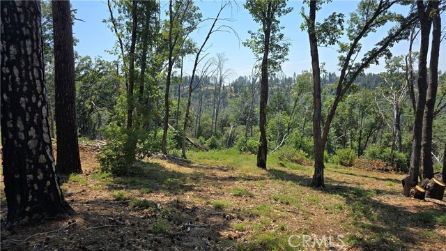 MLS #SN25128482 image #10