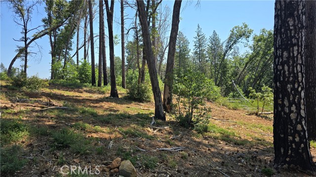 MLS #SN25128482 image #11