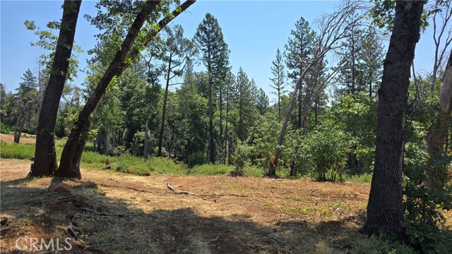 MLS #SN25128482 image #14