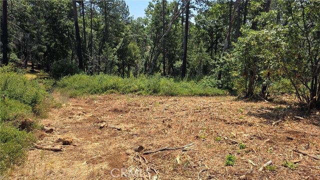 MLS #SN25128482 image #15