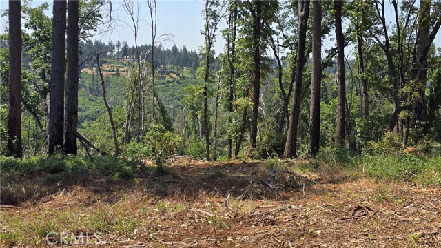 MLS #SN25128482 image #17