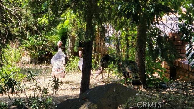 MLS #SN25128482 image #18