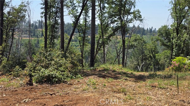 MLS #SN25128482 image #2