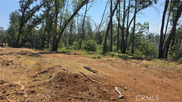 MLS #SN25128482 image #3