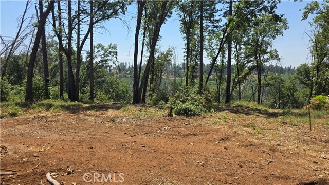 MLS #SN25128482 image #4