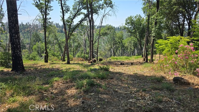 MLS #SN25128482 image #5