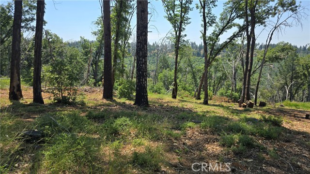 MLS #SN25128482 image #6