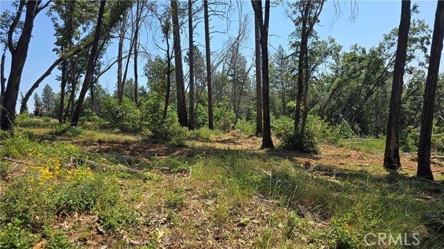 MLS #SN25128482 image #7