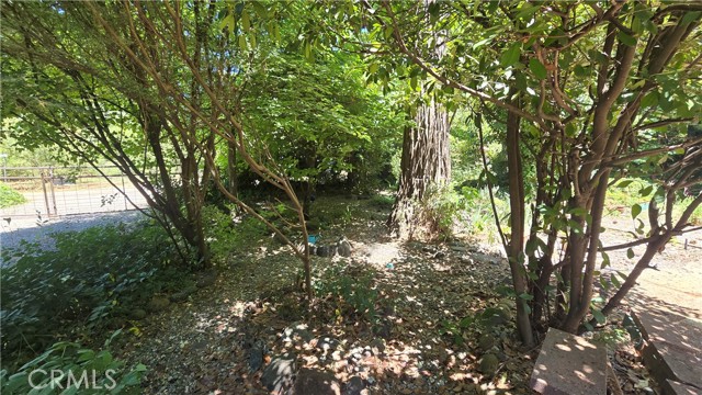 MLS #SN25131794 image #49